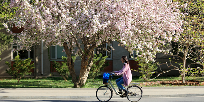 AG一飞冲天300倍游戏(中国游)·官方网站