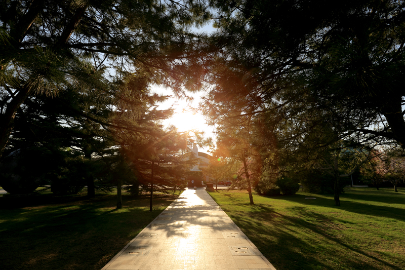 AG一飞冲天300倍游戏(中国游)·官方网站