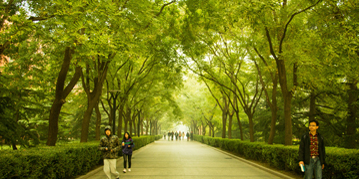 AG一飞冲天300倍游戏(中国游)·官方网站