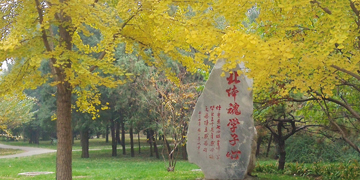 AG一飞冲天300倍游戏(中国游)·官方网站