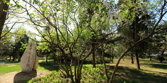 AG一飞冲天300倍游戏(中国游)·官方网站