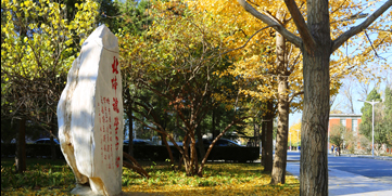 AG一飞冲天300倍游戏(中国游)·官方网站