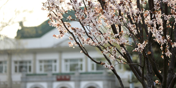 AG一飞冲天300倍游戏(中国游)·官方网站