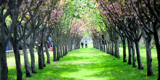 AG一飞冲天300倍游戏(中国游)·官方网站