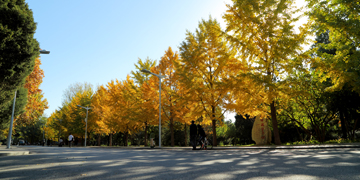 AG一飞冲天300倍游戏(中国游)·官方网站