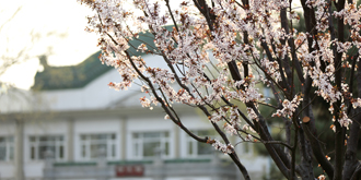 AG一飞冲天300倍游戏(中国游)·官方网站