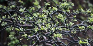 AG一飞冲天300倍游戏(中国游)·官方网站