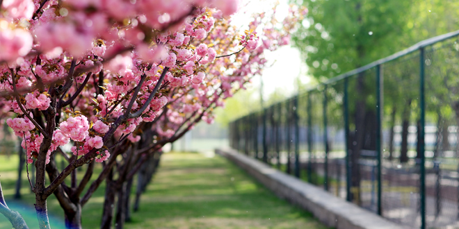 AG一飞冲天300倍游戏(中国游)·官方网站
