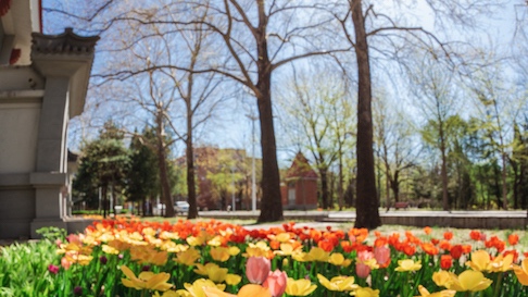 AG一飞冲天300倍游戏(中国游)·官方网站