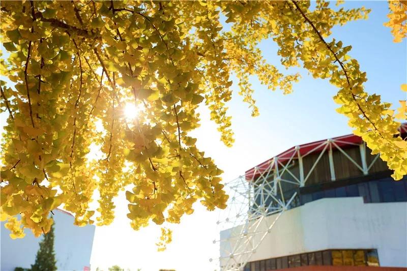 AG一飞冲天300倍游戏(中国游)·官方网站