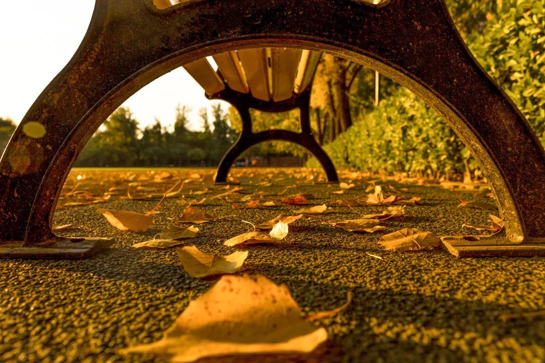 AG一飞冲天300倍游戏(中国游)·官方网站