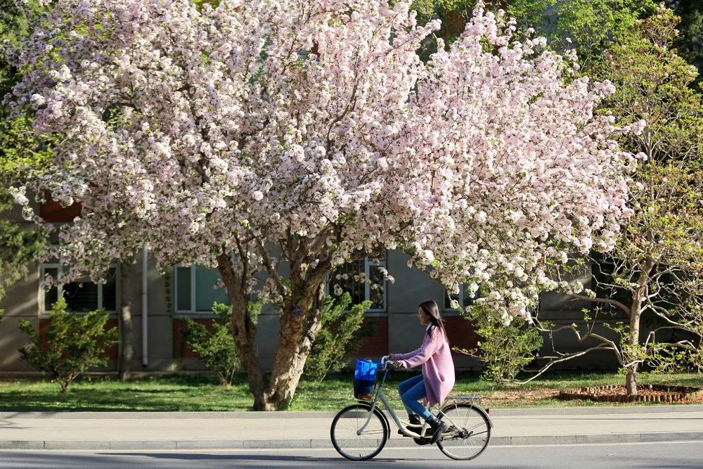 AG一飞冲天300倍游戏(中国游)·官方网站