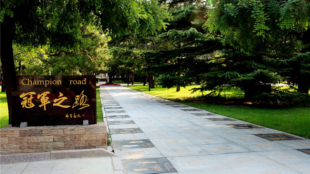 AG一飞冲天300倍游戏(中国游)·官方网站